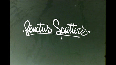 FLUCTUS SPLITTERS