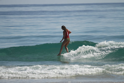 SURF CLUB: 28 JAN