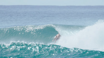 Wild Things team testing Acid
