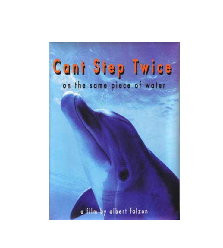 Cant Step on the Same Piece of Water Twice - Wild Things