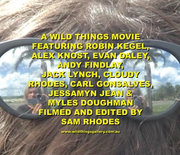Glazzies Real Horror Show DVD - Wild Things